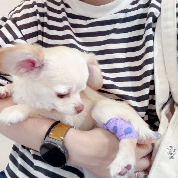 E1c65acc a063 4941 bd92 7f091dc8946e 1686543490923