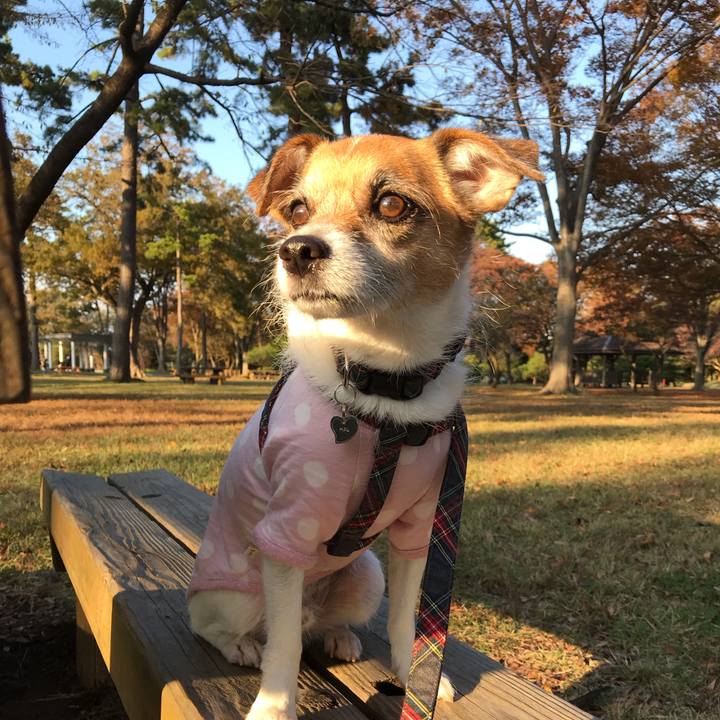 E1c6662a 1b79 412c 824e 094f8a38678e 1541834441162