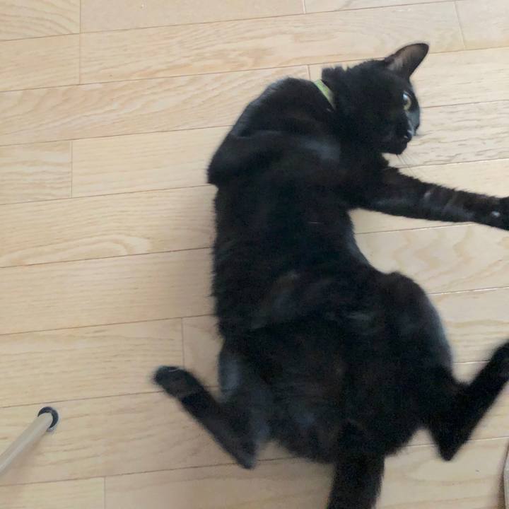 E1c67414 0fe6 40ce 8bca 082f8f74339a 1541301365276