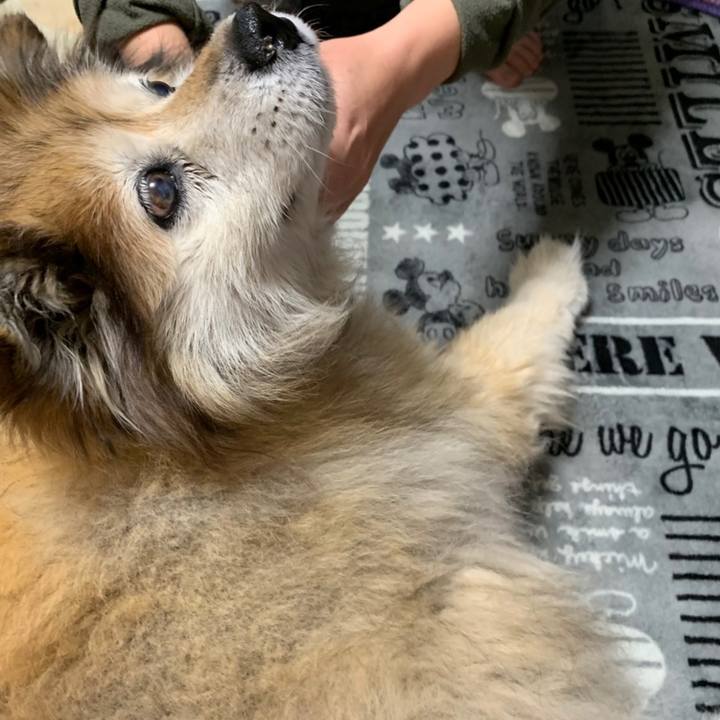 E1c677ac 112f 4a43 b986 e4f612e5690c 1609878633379