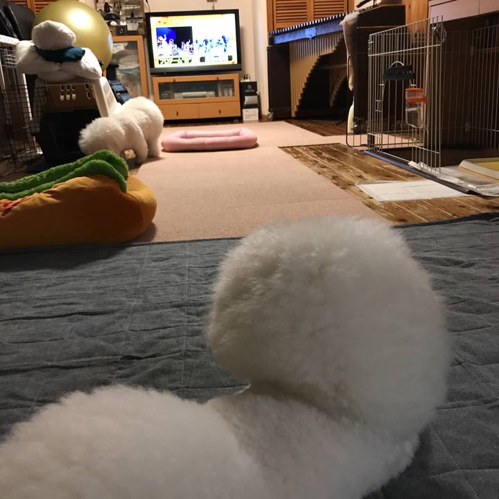 E1c694da ec06 4b9c aca5 acc71c11d756 1539085140649