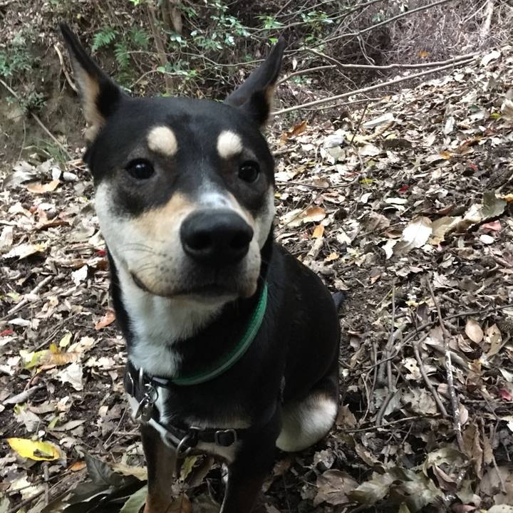 E1c6b56a 57f6 4ef3 af3b 6a878918e94d 1511141353133