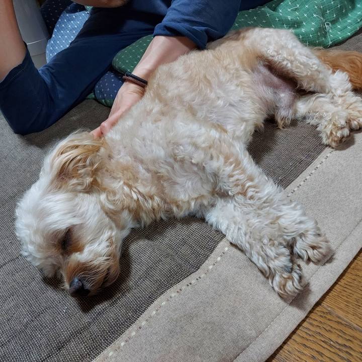 E1c6c60c 374f 4452 92cc 564683030386 1632730819332