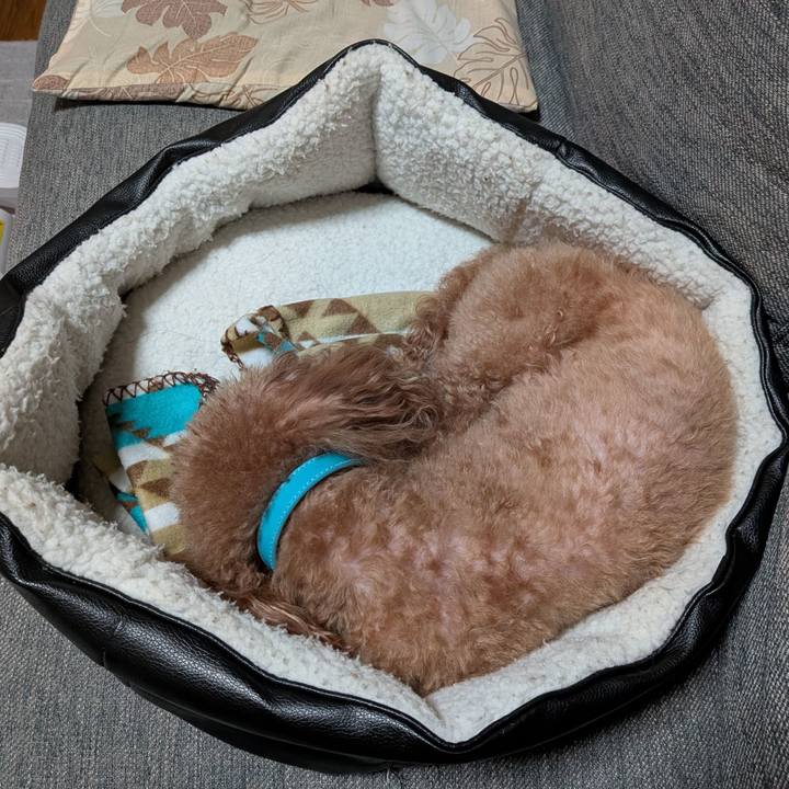 E1c6d278 3d42 41a1 a67a 4138cc88c632 1771061513216