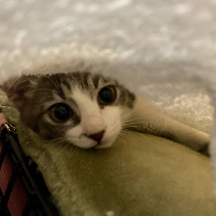 E1c7069f 600f 4c6b a509 3251225dc25c 1693616732155