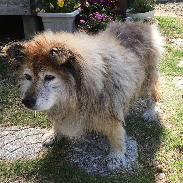 E1c722b6 25f5 4f20 b6b6 94404a11f6e0 1608683053849