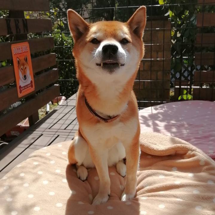 E1c75394 c404 47f0 b05c f63da3150cf3 1646621351331