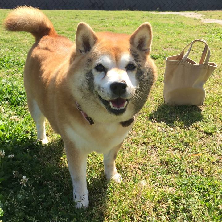 E1c76074 636f 47a8 93fa c46fa5730be5 1619768757484