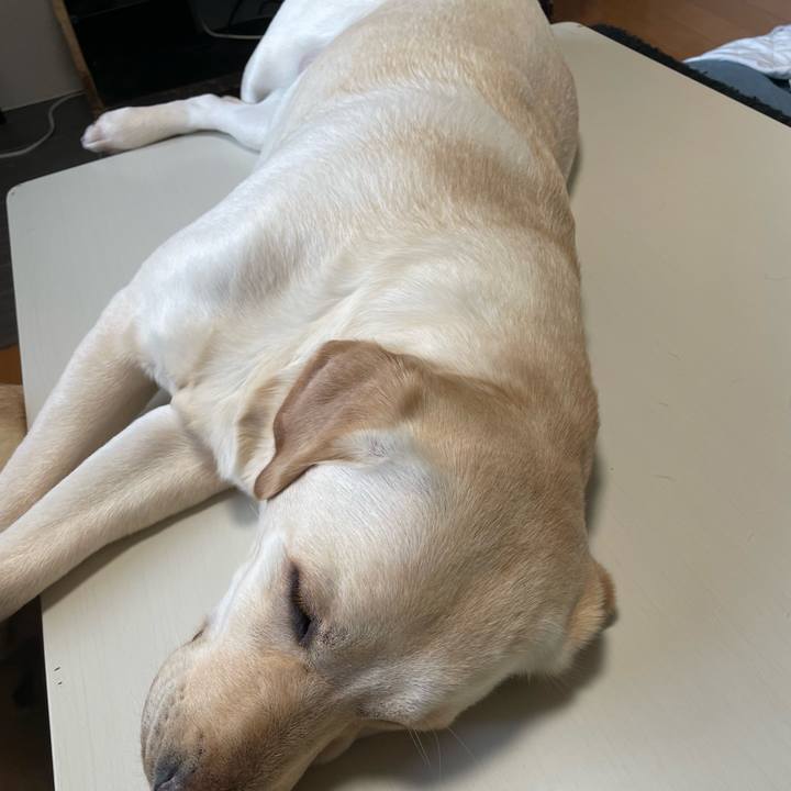 E1c76bb0 78ca 428e b6a7 7c5b29586ba4 1645484174805