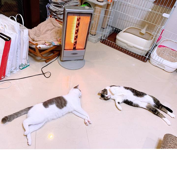 E1c7c105 323c 4983 b2b8 f2cfd230eef8 1549720001275