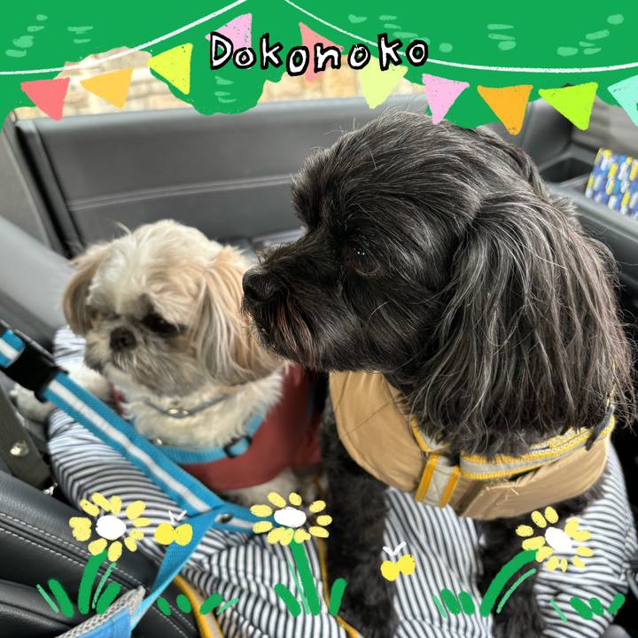 E1c7cc9b a2d5 4399 925e 693424c15dea 1711108828440