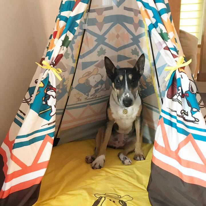 E1c7d279 6f24 422a 8f46 d2bfc38d6c1d 1525165590082