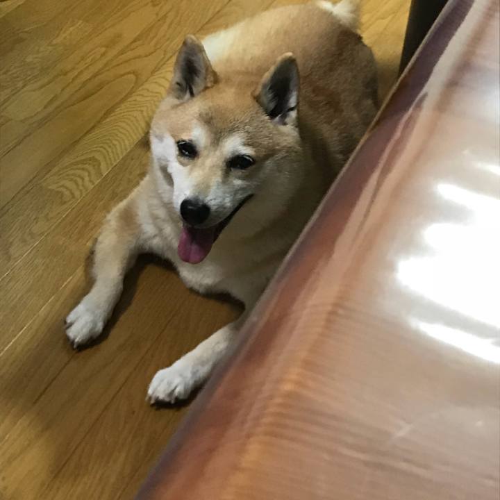 E1c7eca3 e71c 49bc 83d5 595fe99a135c 1533037680999