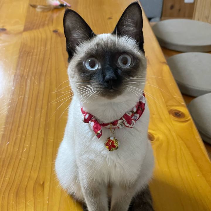 E1c7f157 1c9d 4bc2 8998 18c7258cf8ea 1703272813946