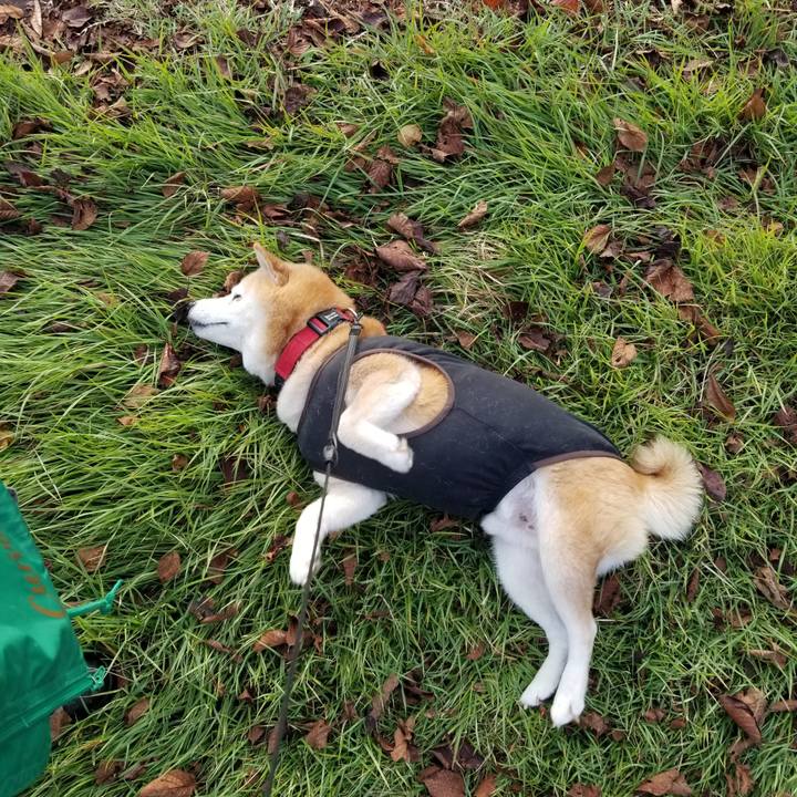 E1c8003b 9d1e 4216 9514 9f3b7472918b 1730357373381