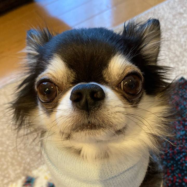 E1c82a6d 6552 4541 a341 e55ac3c37d94 1710890478708