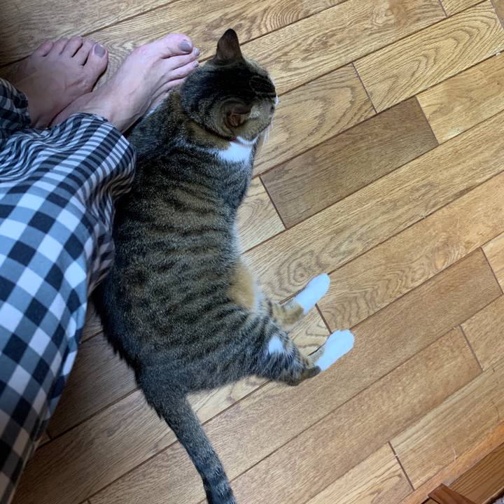 E1c83086 414d 41e5 a184 f7c497c5bb23 1652182135020