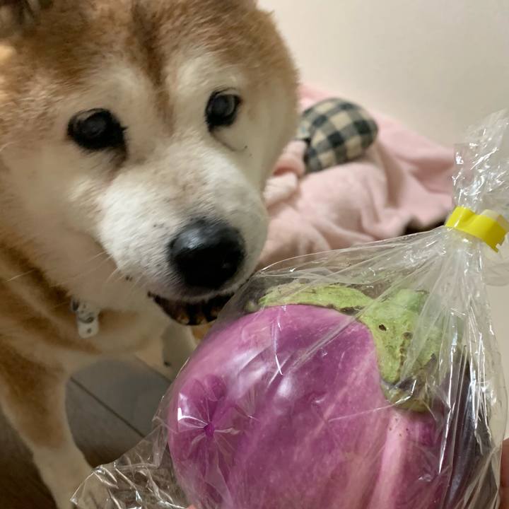 E1c85903 9098 4954 ad80 b26162d8d358 1628040173693