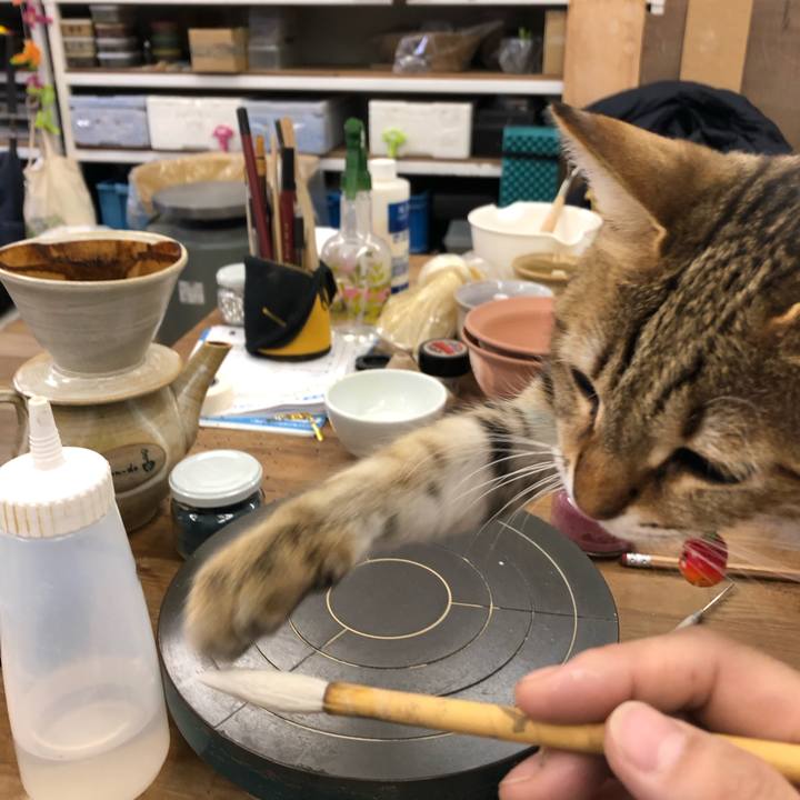 E1c8cd17 b1ac 448d a63a 3ef1dfd303b7 1613627577625