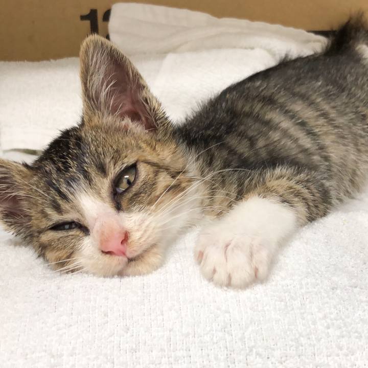 E1c8e4a5 3350 4fde 93fa 1b1e7788a73e 1560577423768