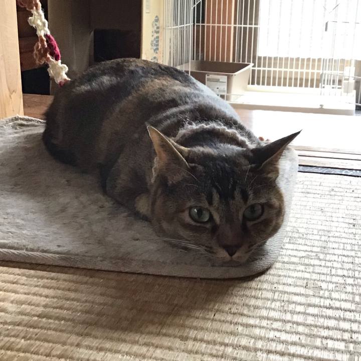 E1c91881 2bcf 4e99 b83b 75a87fee9acf 1652064139408