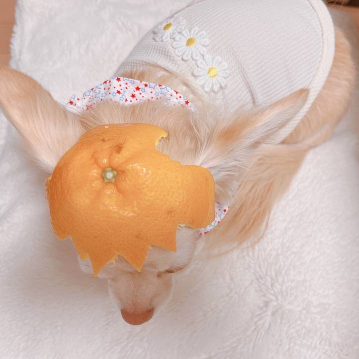 E1c92dbf 258b 4f60 9229 ab467155d6b2 1674872412881