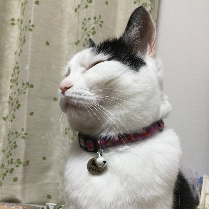 E1c93058 8ce2 4dea b692 f1b08499d76f 1517574428433