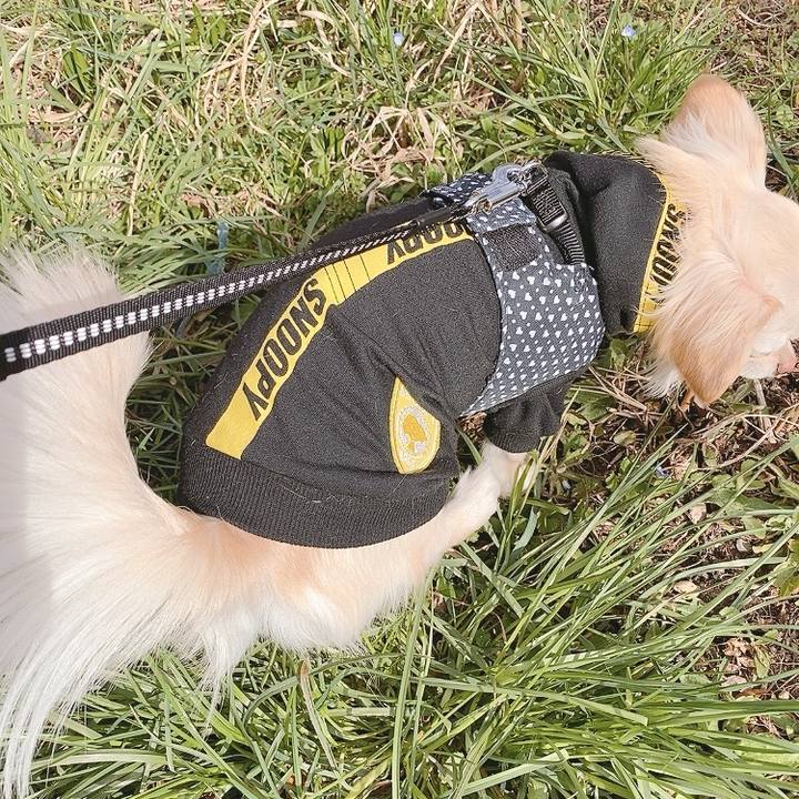 E1c93e0a 2e68 496b 82ed 752d673b2881 1614581159687