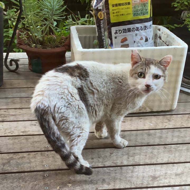 E1c9c16d b4da 4e73 8bc4 f0e1af2e2ff1 1751262822249