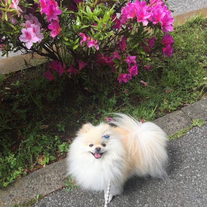 E1c9d314 c920 4ef3 8c10 0f60da3e8498 1588035843481