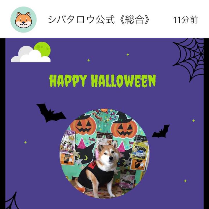 E1c9d3c6 db2d 4a45 b812 2df441468bca 1635663294710