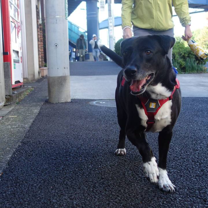 E1c9ead6 f3cc 4a6f ad8f 77e2743f2332 1667350163911