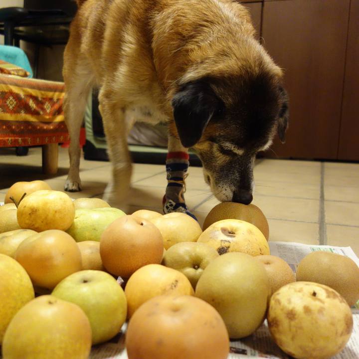 E1ca2489 04ac 4de8 9405 1c28e9d079d5 1535381186095