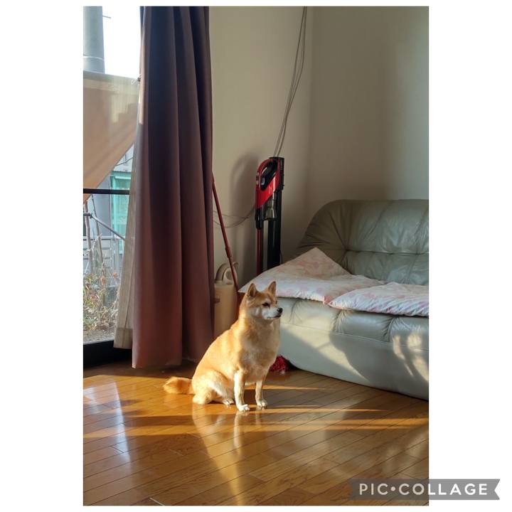 E1ca297a 17b4 4daa 9f03 a1206e516823 1770853263245