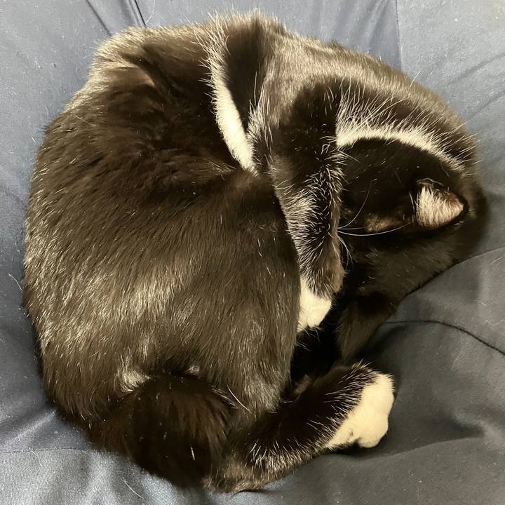 E1ca66e9 8f64 434d 9655 89caeaf53288 1679283535647