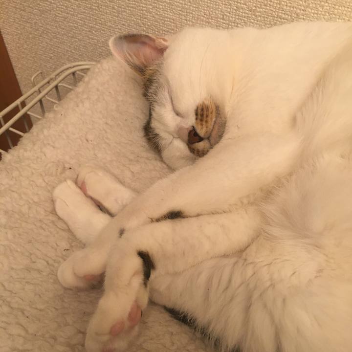 E1caeb3d 9829 4b77 94d6 71ae5db2a975 1585665936053