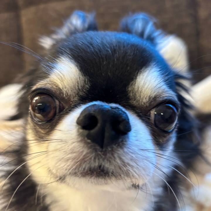 E1cb43db 7c59 4293 8d8c d1331584fad5 1736722640176