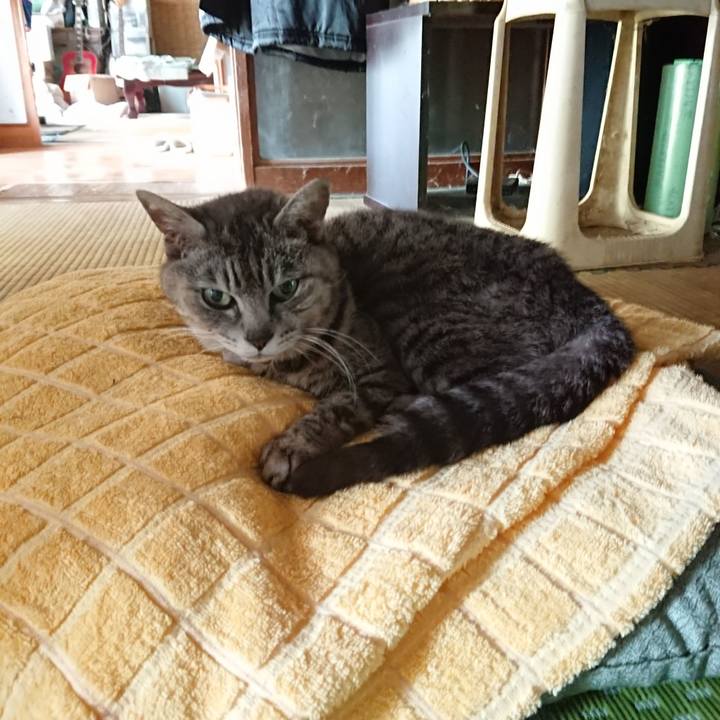 E1cb7e4d 4bb2 428d bed1 0e72f2faa034 1591263954924