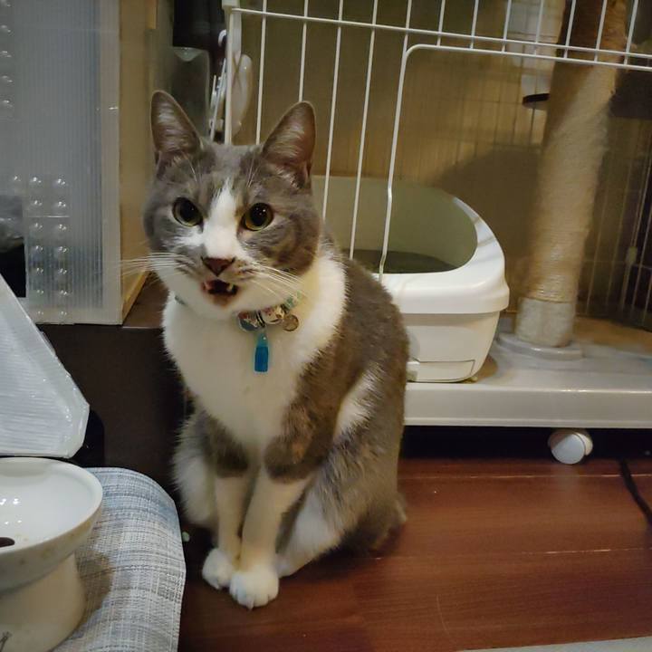 E1cbb505 6abb 424a 8528 a9ca441d5315 1672322668580