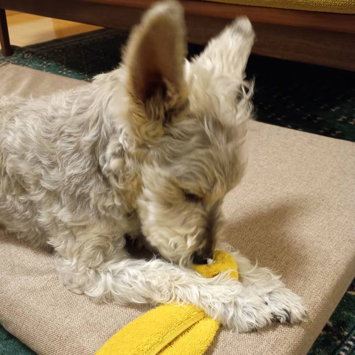 E1cbb8b4 b59e 4a76 b089 0b9ecd685ac3 1773836475512