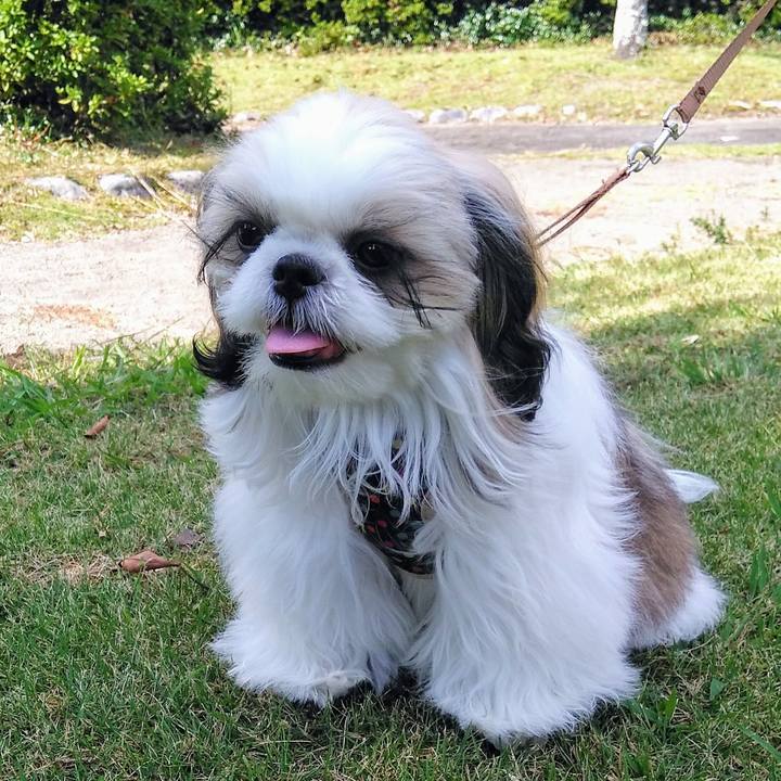 E1cbc9a2 19b5 4410 acf1 c26327f4a561 1540018879533