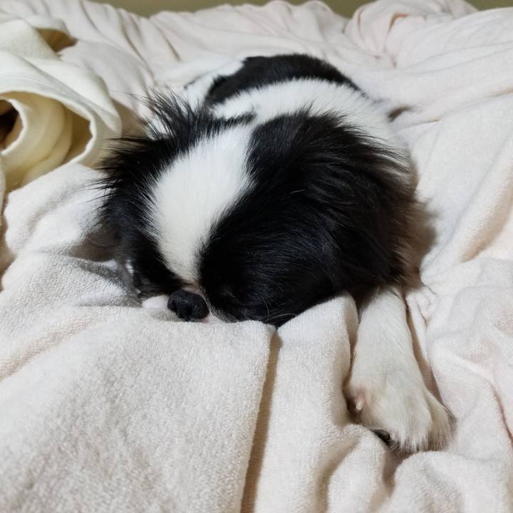 E1cbd433 07e5 4712 aff4 2b26f4946148 1636717944034