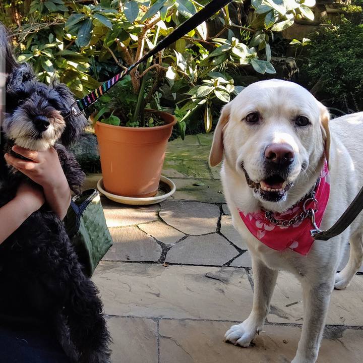 E1cc0787 478a 4936 9022 19a420aaaf36 1603180200168