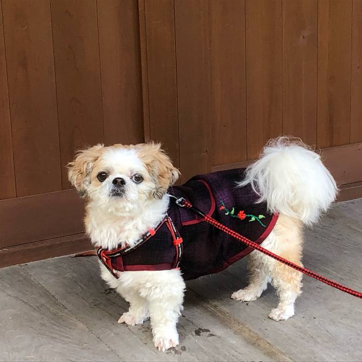 E1cc27e5 5724 40b4 976c c7cf492cb5e8 1572471873543