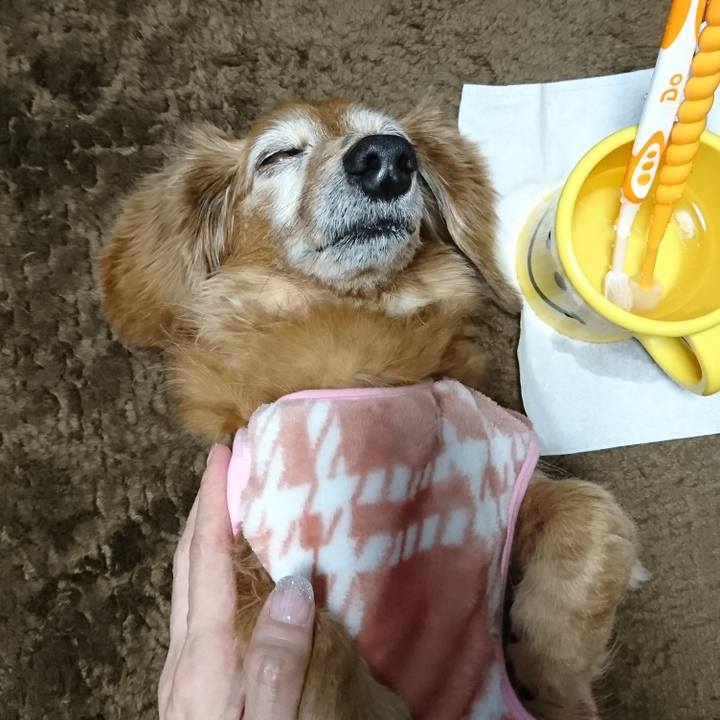 E1cc3181 7a61 43d0 bf1b a1446bae3705 1640624812633