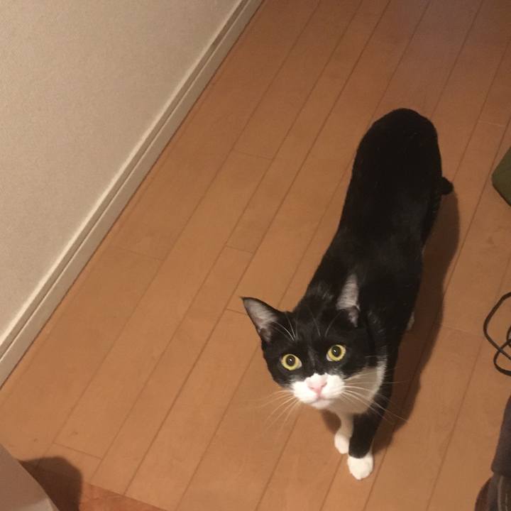 E1cc38c3 9488 4bf4 9e86 9f19967cc9b7 1589804880974