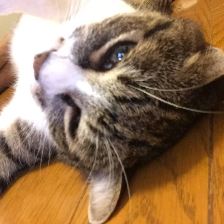 E1cc5b68 4337 47ba b8ce 22824037997b 1564505528112