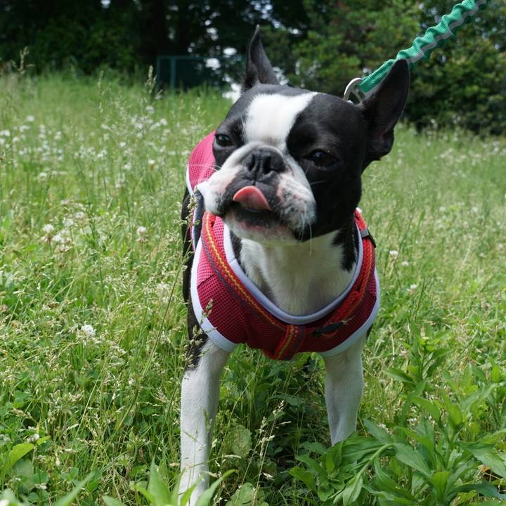 E1cc7d1e d9af 46aa 8b0c dc165ae155dc 1526779553445