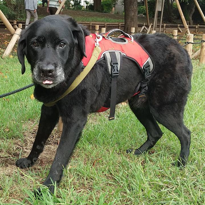 E1cc99fe d4b9 4d2c a871 4acba3112ebf 1696494287025