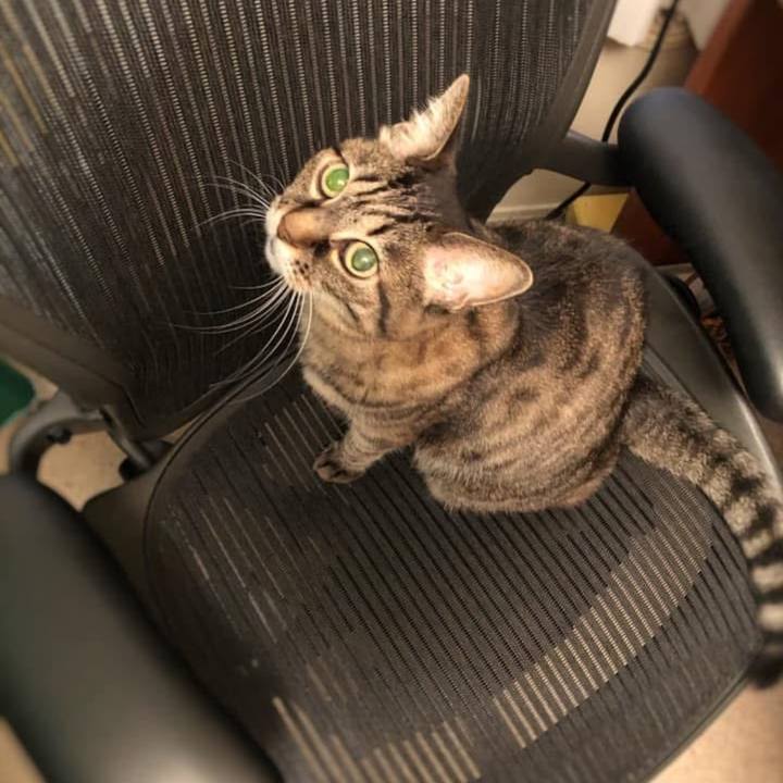 E1cca4b2 eb33 402f 99fd 6d85d8201400 1759633272033